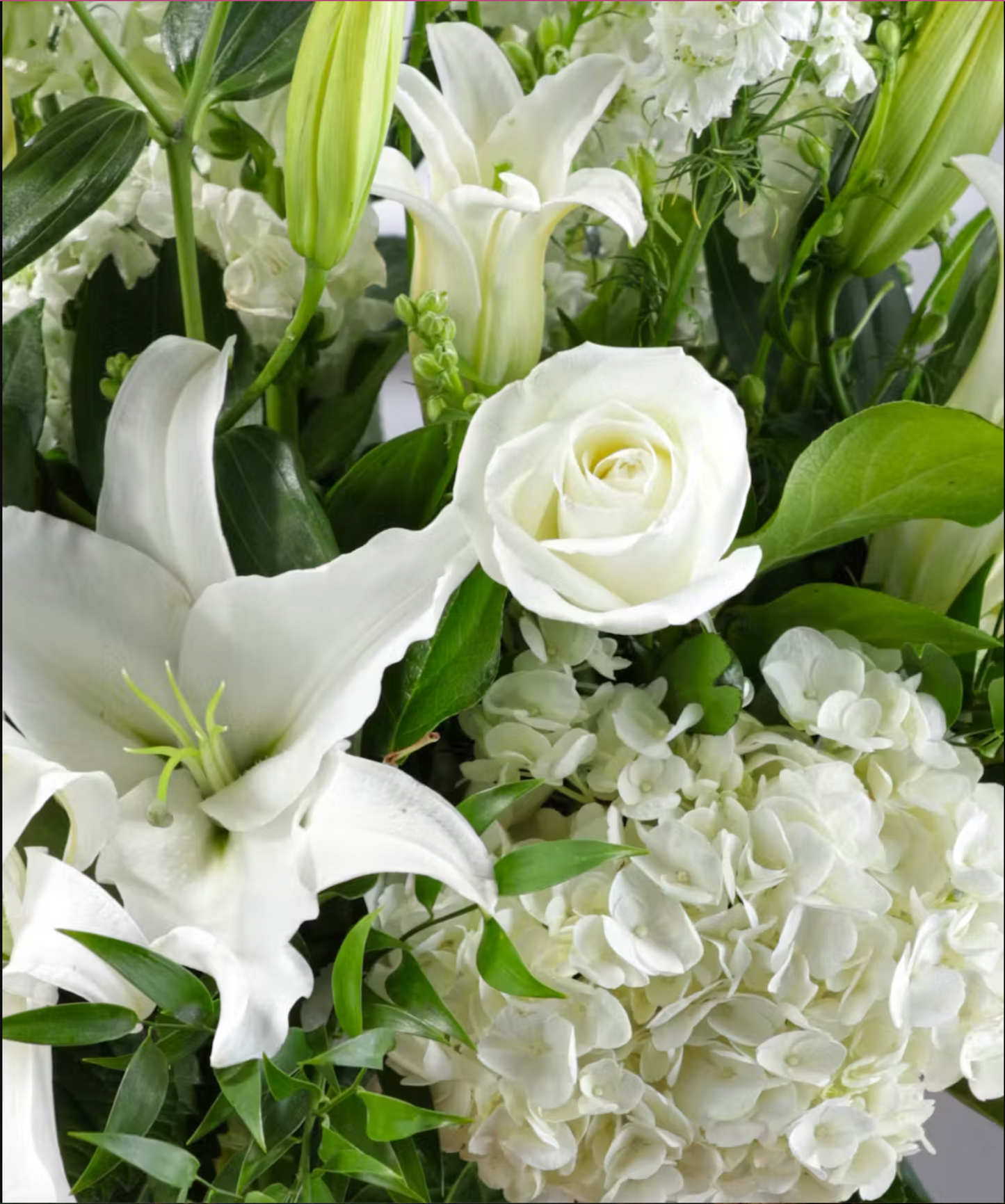 Serene White & Green Garden